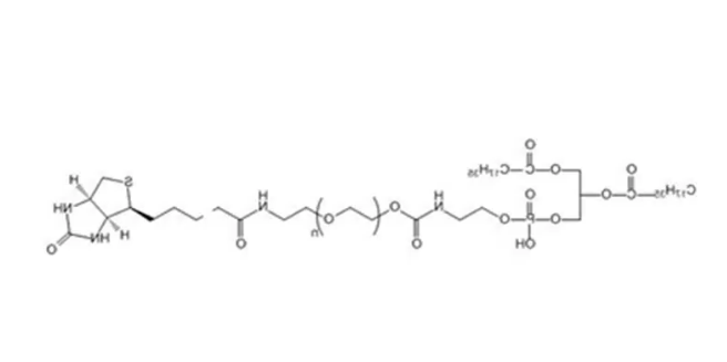 385437-57-0,Biotin-PEG-DSPE,生物素聚乙二醇磷脂,DSPE-PEG-BIO,功能性磷脂PEG衍生物 385437-57-0,Biotin-PEG-DSPE,生物素聚乙二醇磷脂,DSPE-PEG-BIO,功能性磷脂PEG衍生物