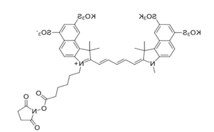 Sulfo-Cyanine5.5 NHS ester，Sulfo-Cy5.5 NHS酯，水溶性荧光染料，蓝色至深蓝色固体