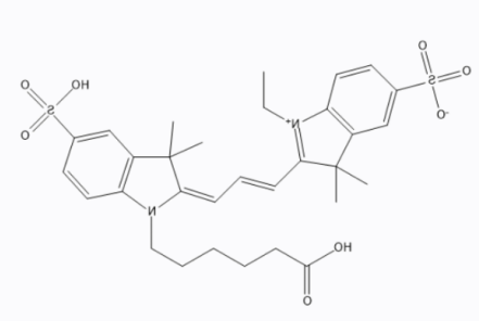 荧光染料CY3标记姜黄素