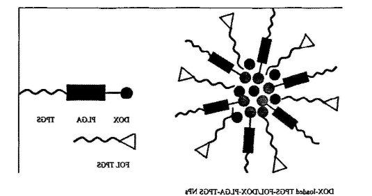 1679539643155651.png image.png