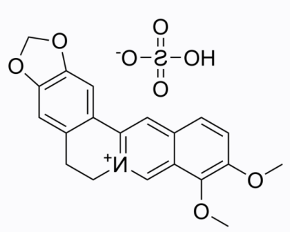 cas:633-66-9 Berberine sulfate cas:633-66-9 Berberine sulfate