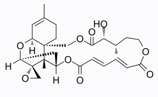 cas:3148-9-2 Verrucarin A cas:3148-9-2 Verrucarin A