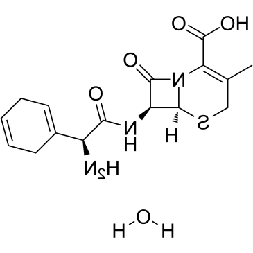 Cephradine (monohydrate) 