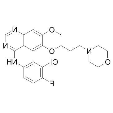 Gefitinib 