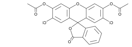 活化氧2',7'-Dichlorofluorescein diacetate，双氯荧光黄乙酸乙，2044-85-1