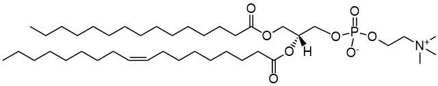 15:0-18:1 PC|1-pentadecanoyl-2-oleoyl-sn-glycero-3-phosphocholine 15:0-18:1 PC|1-pentadecanoyl-2-oleoyl-sn-glycero-3-phosphocholine