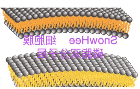 1682068177278923.png image.png