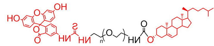 胆固醇 聚乙二醇 荧光素 、胆固醇PEG荧光素、Cholesterol-PEG-FITC 胆固醇 聚乙二醇 荧光素 、胆固醇PEG荧光素、Cholesterol-PEG-FITC