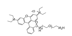 RB-PEG-NH2,罗丹明-聚乙二醇-氨基,Rhodamine-PEG-NH2 RB-PEG-NH2,罗丹明-聚乙二醇-氨基,Rhodamine-PEG-NH2