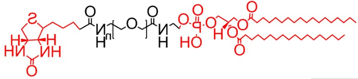 DSPE-PEG-Biotin、二硬脂酰基磷脂酰乙醇胺-聚乙二醇-生物素、磷脂PEG生物素 DSPE-PEG-Biotin、二硬脂酰基磷脂酰乙醇胺-聚乙二醇-生物素、磷脂PEG生物素