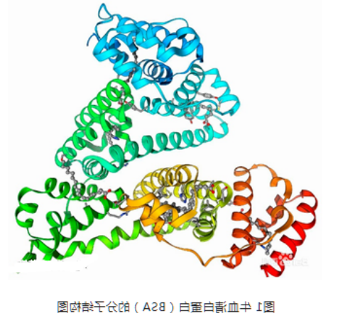 Hitamine-BSA组胺BSA Hitamine-BSA组胺BSA