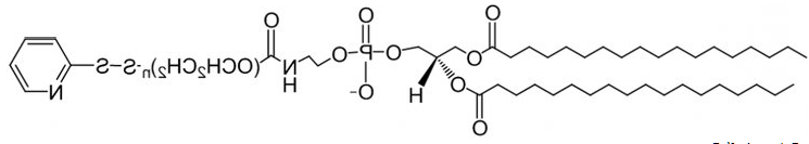 巯基吡啶聚乙二醇磷脂,OPSS-PEG-DSPE,磷脂聚乙二醇巯基吡啶 巯基吡啶聚乙二醇磷脂,OPSS-PEG-DSPE,磷脂聚乙二醇巯基吡啶