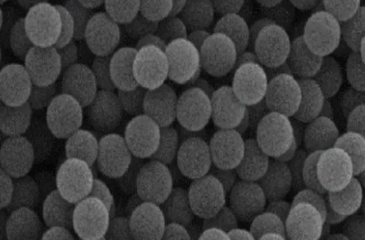 Polystyrene微球,polystyrene microsphere,聚苯乙烯微球100nm Polystyrene微球,polystyrene microsphere,聚苯乙烯微球100nm