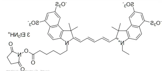 Dextran-CY5.5 Dextran-CY5.5