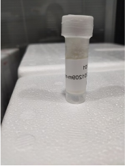 Gold Nanoparticles,Au