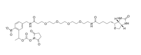 PC-Biotin-PEG4-PEG4-alkyne