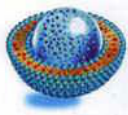 阿昔洛韦脂质体Liposomes