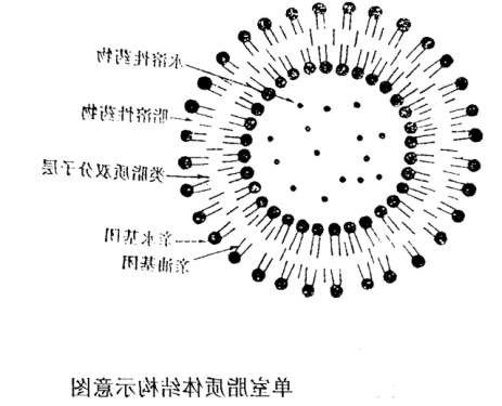 多西他赛包合物脂质体