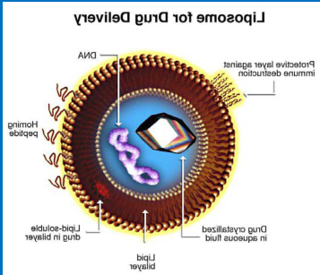 吉非替尼脂质体Liposomes