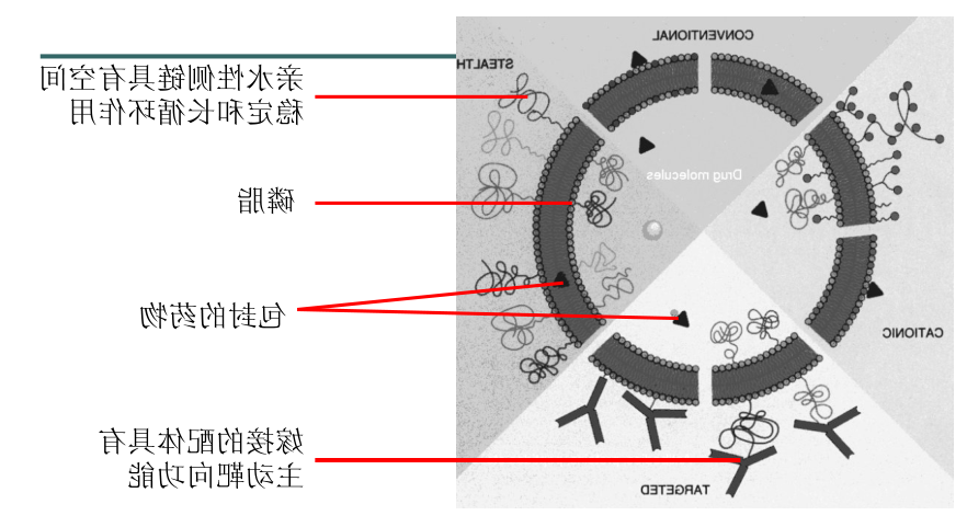 紫杉醇阳离子脂质体