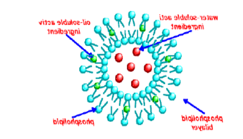 阿糖胞苷脂质体 Liposomes