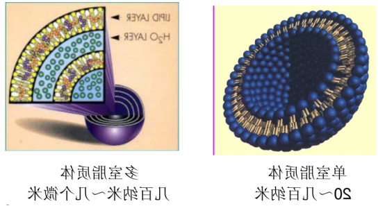 盐酸左氧氟沙星脂质体 盐酸左氧氟沙星脂质体