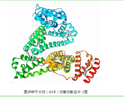 醛基PEG牛血清白蛋白 醛基PEG牛血清白蛋白
