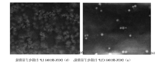 (DOX-IR1061CLP) (DOX-IR1061CLP)