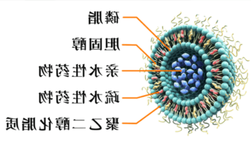 HSPC:Chol (55:45) Liposomes