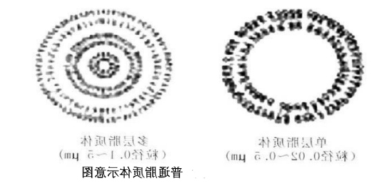 DOPG:DOPC (20:80) Liposomes