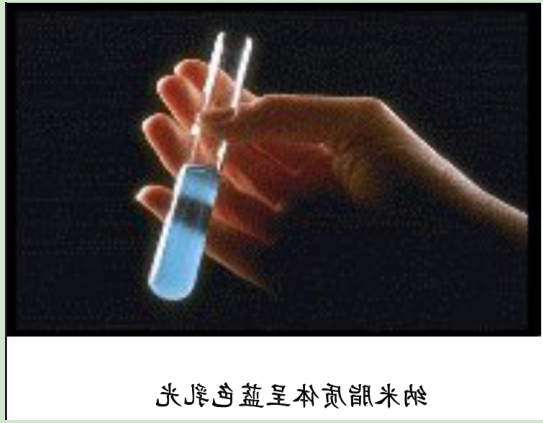 羧基修饰微米脂质体囊泡