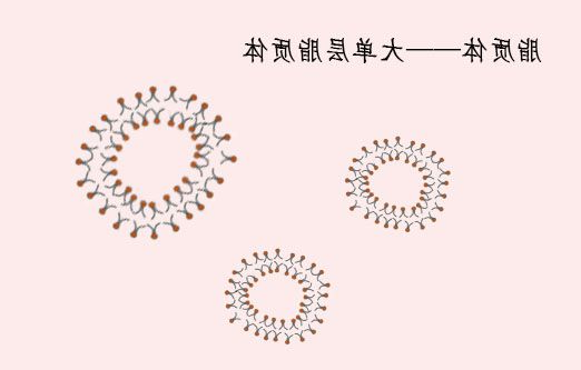 液态氟碳(PFOB)脂质体