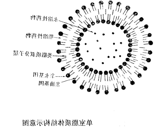 14:0 Diether PC:Chol (70:30) Liposomes 14:0 Diether PC:Chol (70:30) Liposomes