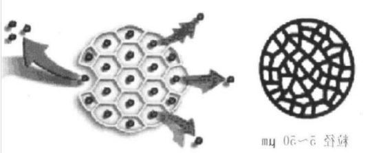 Heart PC:Chol (70:30) Liposomes