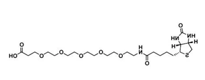 Biotin-PEG5-COOH
