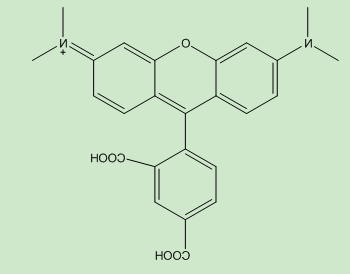 5-TAMRA(重要中间体) 5-TAMRA(重要中间体)