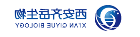 200-300nm介孔四氧化三铁 200-300nm介孔四氧化三铁