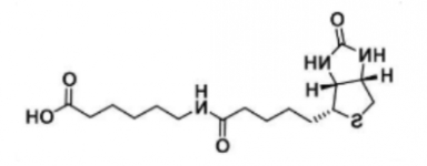 Biotin-LC; 6-生物素氨基己酸 Biotin-LC; 6-生物素氨基己酸