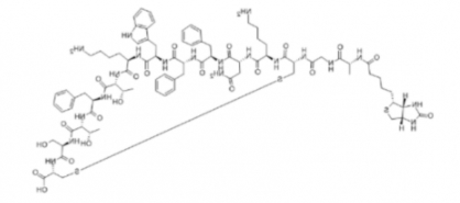 生物素-生长抑素-14