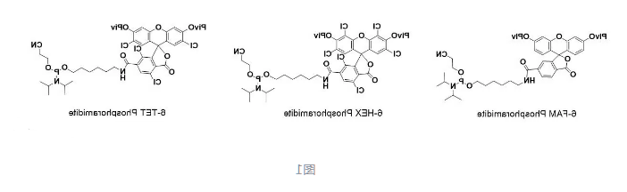 荧光素标记 荧光素标记