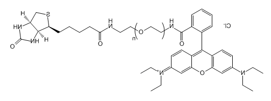 RB-PEG-Biotin；罗丹明B-聚乙二醇-生物素；Rhodamine B-PEG-Biotin