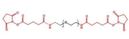 GAS-PEG-GAS；二戊二酰胺琥珀酰亚胺聚乙二醇；Glutaramide Succinimidyl ester-PEG-Glutaramide