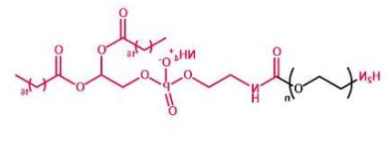 DSPE-PEG-NH2；磷脂聚乙二醇氨基；DSPE-PEG-Amine