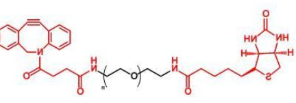 Biotin-PEG-DBCO；生物素聚乙二醇二苯基环辛炔 