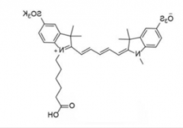 diSulfo-Cy5 carboxylic acid (Methyl)/水溶性Cy5 COOH,二磺酸基-Cy5-羧基 diSulfo-Cy5 carboxylic acid (Methyl)/水溶性Cy5 COOH,二磺酸基-Cy5-羧基