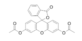 FDA [Fluorescein diacetate]，596-09-8，荧光素二乙酸酯