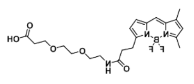 BODIPY FL-PEG2-COOH的基本信息 BODIPY FL-PEG2-COOH的基本信息