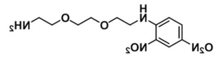 DNP-PEG2-NH2的储存条件