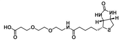 Biotin-PEG2-Acid;1365655-89-5;生物素-二聚乙二醇-羧基 Biotin-PEG2-Acid;1365655-89-5;生物素-二聚乙二醇-羧基