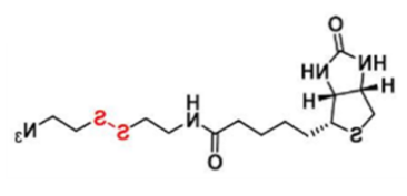 Biotin-SS-azide;生物素-二硫-叠氮;1620523-64-9 Biotin-SS-azide;生物素-二硫-叠氮;1620523-64-9